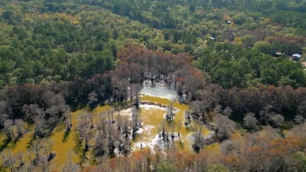 テキサス州のカドー湖州立湿地での素晴らしい自然 航空ビュー — ストック動画