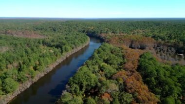 Caddo Gölü Eyalet Parkı 'ndaki Büyük Cypress Bayou Nehri - hava manzarası