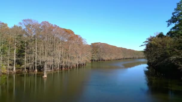 Big Cypress Bayou River Caddo Lake State Park Αεροφωτογραφία — Αρχείο Βίντεο