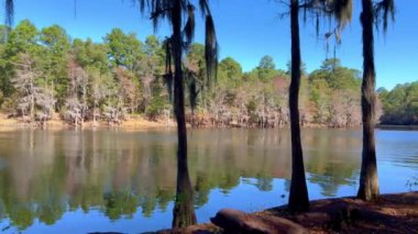 Caddo Gölü 'ndeki Büyük Cypress Bayou Nehri - seyahat fotoğrafçılığı