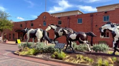 Fort Worth Stockyard 'daki Renk Anıtı - Fort Worth, ABD - 09 Kasım 2022