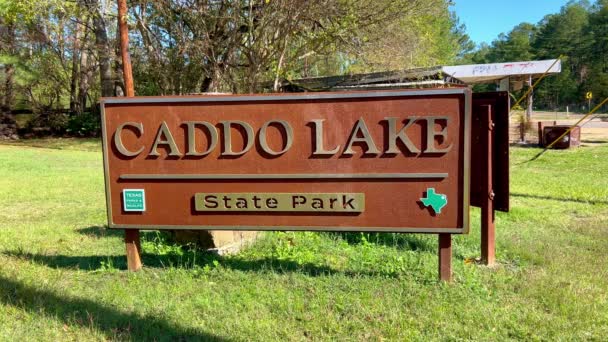 Caddo Lake State Park Texas Lago Caddo Noviembre 2022 — Vídeos de Stock