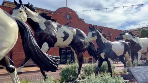 Dziedzictwo Pomnika Kolorów Fort Worth Stockyards Fort Worth Usa Listopad — Wideo stockowe