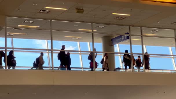 Pasażerowie Przybywający Lotnisko Dallas Fort Worth Dfw Fort Worth Usa — Wideo stockowe