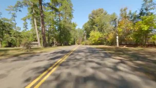 Güneşli Bir Günde Ormanda Araba Sürmek Seyahat Fotoğrafçılığı — Stok video