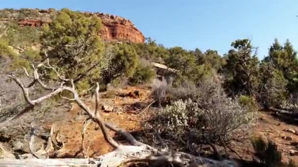 穿越亚利桑那州的沙漠 有着红色岩石的迷人风景 空中风景 — 图库视频影像