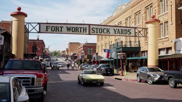 Ιππασία Μέσω Του Fort Worth Stockyards Στην Ιστορική Περιοχή Fort — Αρχείο Βίντεο