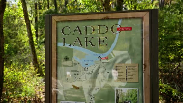 Teksas Taki Caddo Gölü Parkı Muhteşem Bitki Örtüsü Manzarasıyla Caddo — Stok video