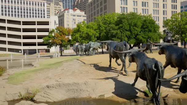 Pioneer Plaza Dallas Texasissa Aurinkoisena Päivänä Dallas Texas Lokakuu 2022 — kuvapankkivideo
