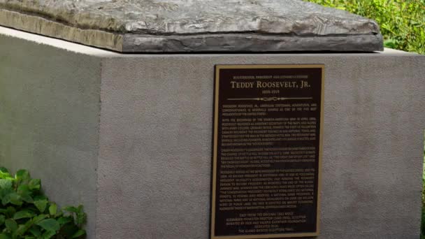 Pomnik Prezydenta Teddy Ego Roosevelta Alamo San Antonio San Antonio — Wideo stockowe