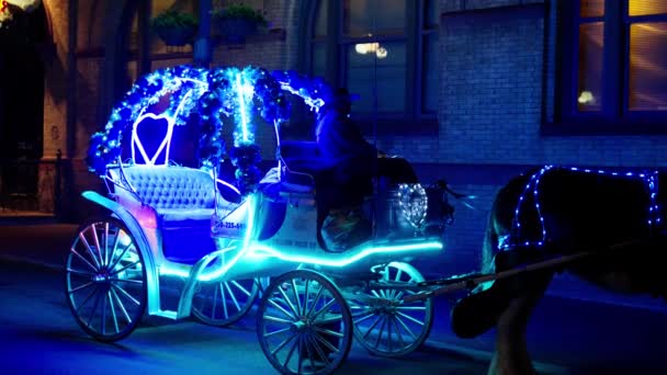 Освітлений Кінь Вулицях Сан Антоніо Вночі San Antonio Texas November — стокове відео
