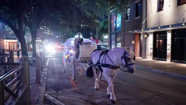 Beleuchtete Pferdekutsche Den Straßen Von San Antonio Bei Nacht San — Stockvideo