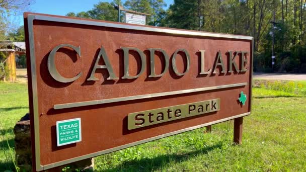 Caddo Lake State Park Στο Τέξας Caddo Lake Ηπα Νοεμβρίου — Αρχείο Βίντεο