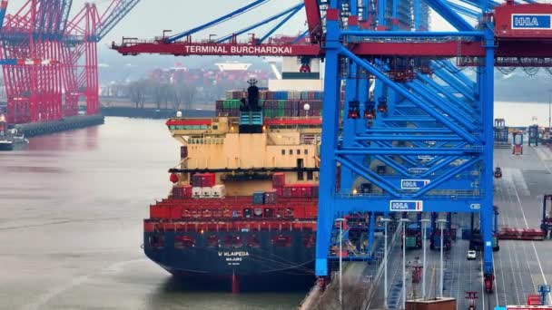 Puerto Hamburgo Tollerort Container Shipping City Hamburg Alemania Diciembre 2022 — Vídeos de Stock