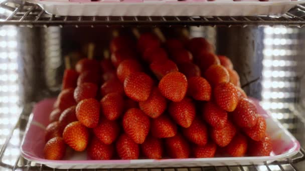 Strawberries Spit Ready Eat Travel Photography — Stock Video