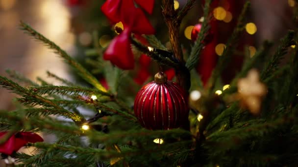 Hermosa Decoración Navidad Clip Fondo Fotografía Viaje — Vídeos de Stock