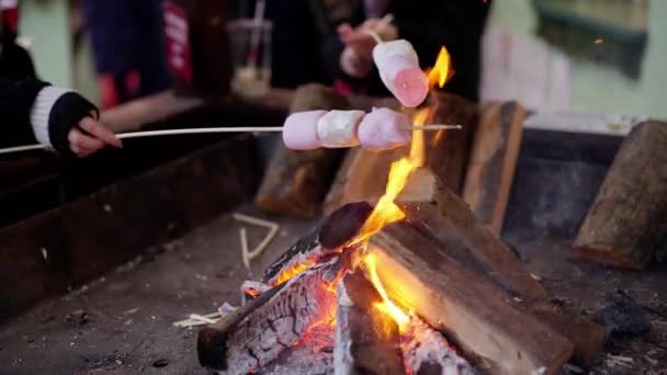 Açık Ahşap Bir Ateşin Üzerinde Izgara Marshmallowlar Seyahat Fotoğrafçılığı — Stok video
