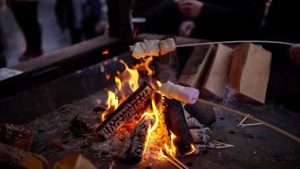 Rostning Marshmallows Över Öppen Eld Fotografering — Stockvideo