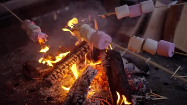 Toasting Marshmallows Open Fire Fotografia Viagem — Vídeo de Stock