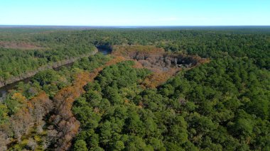 Texas 'taki Caddo Gölü Bataklıkları' nda inanılmaz doğa - hava manzarası