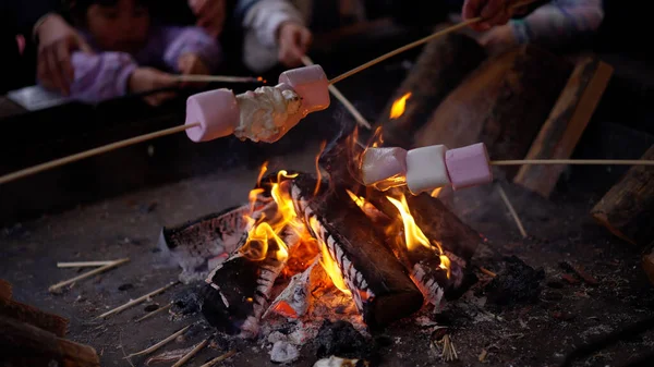 Toasting marshmallows over open fire - LONDON, UNITED KINGDOM - DECEMBER 20, 2022