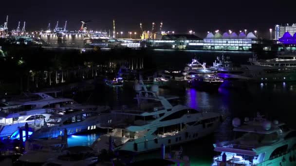 Pelabuhan Miami Marina Jungle Island Miami Amerika Serikat February 2022 — Stok Video