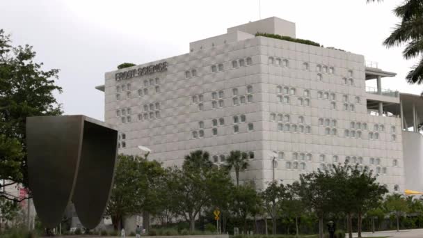 Perez Art Museum Miami Frostwissenschaft Miami Usa Februar 2022 — Stockvideo