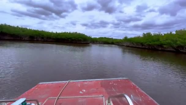 Airboat Ride Everglades Cestovní Fotografie — Stock video