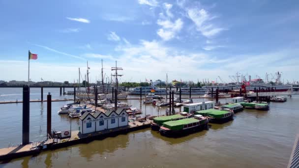 Boats Hamburg Harbour City Hamburg Germany May 2022 — Vídeos de Stock