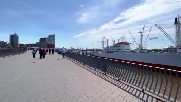 Hamburg Limanı Hamburg Şehri Almanya Mayıs 2022 — Stok video