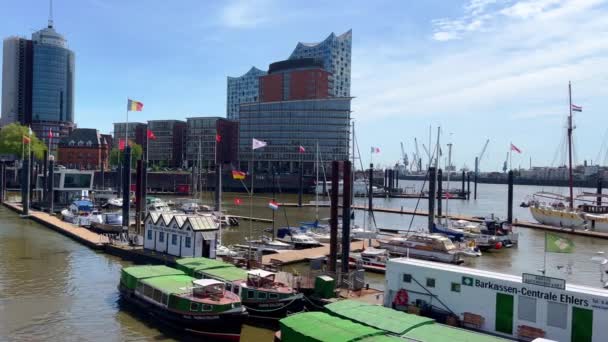 Sightseeing Boat Hamburg Harbour City Hamburg Germany May 2022 — Vídeos de Stock