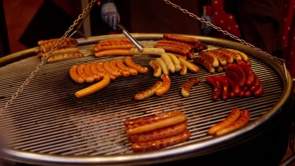 Different Kinds Sausages Big Grill Travel Photography — Vídeo de stock