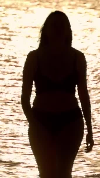 Gün Batımında Altın Okyanus Suyuna Karşı Bir Kadının Silueti Seyahat — Stok video