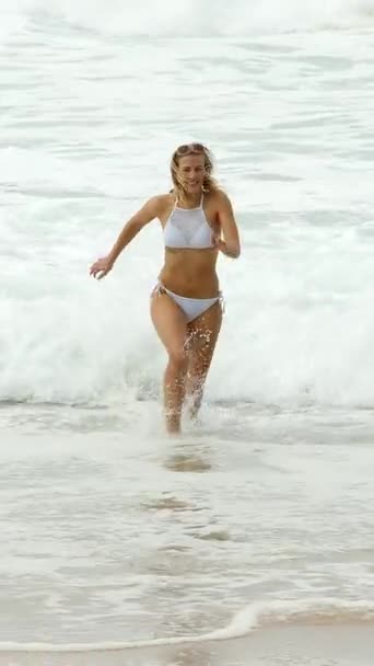 在海滩上穿着比基尼的性感女孩 在海洋旅行摄影的暑假 — 图库视频影像