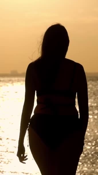 日落时一个女人面对金色海水的轮廓 旅行摄影 — 图库视频影像