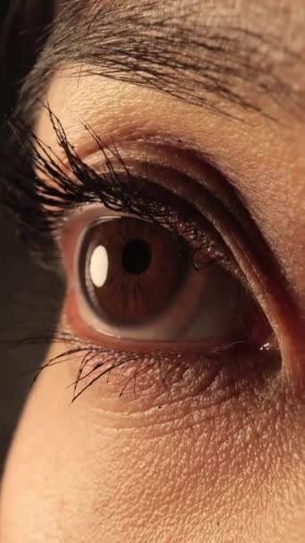 Olhos Uma Mulher Tiro Extremo Perto Tiroteio Estúdio — Vídeo de Stock