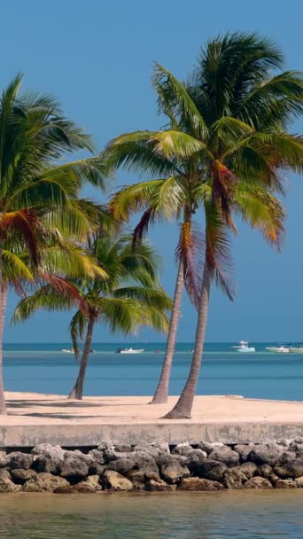 Υπέροχη Παραλία Της Καραϊβικής Ένας Παράδεισος Στον Ήλιο Ταξιδιωτικές Φωτογραφίες — Αρχείο Βίντεο