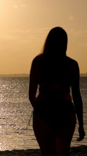 Silhuett Kvinna Mot Det Gyllene Havet Vatten Vid Solnedgången Fotografering — Stockvideo