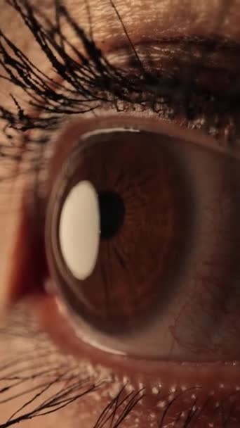 Los Ojos Una Mujer Disparo Cerca Extremo Rodaje Estudio — Vídeos de Stock