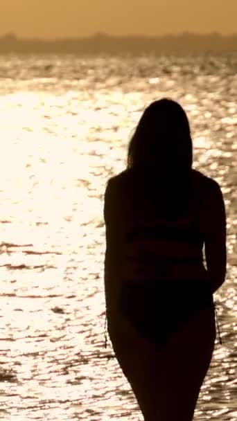 Silhouette Woman Golden Ocean Water Sunset Travel Photography — Stock Video