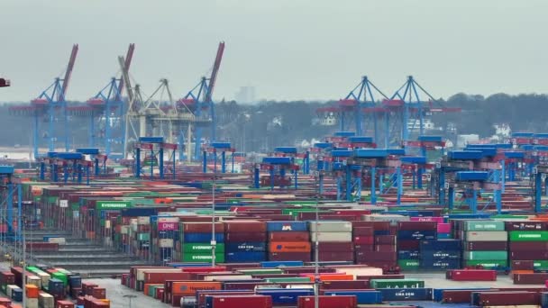 독일함 함부르크 항구에서 운송하는 컨테이너들 2022 — 비디오