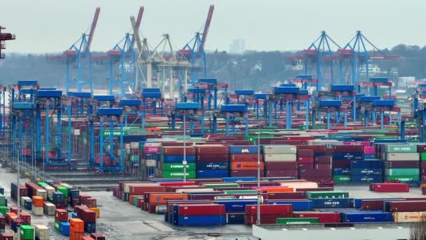 Puerto Hamburgo Tollerort Container Shipping City Hamburg Alemania Diciembre 2022 — Vídeos de Stock