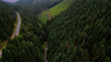 Peak District 'teki Snake Woodland - hava manzaralı - İHA fotoğrafçılığı
