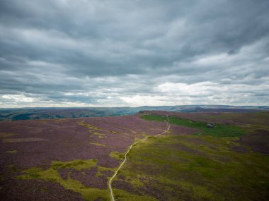 Peak District Ulusal Parkı 'ndaki harika kenevir tarlaları - seyahat fotoğrafçılığı