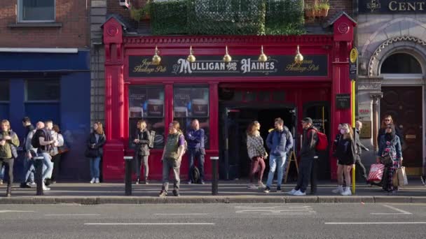 Irish Pub Temple Bar District Dublin Dublin Városa Írország 2022 — Stock videók