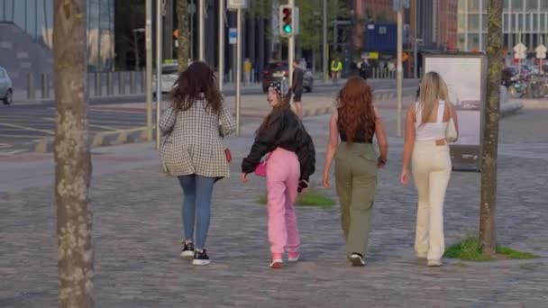 Дівчата Гуляють Дублінському Доклендсі Вздовж Річки Ліффі Ситі Дублін Ірландія — стокове відео