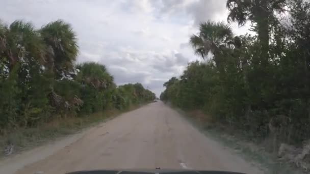 Pov Drive Everglades Dirt Road Miami Usa February 2022 — Stock Video