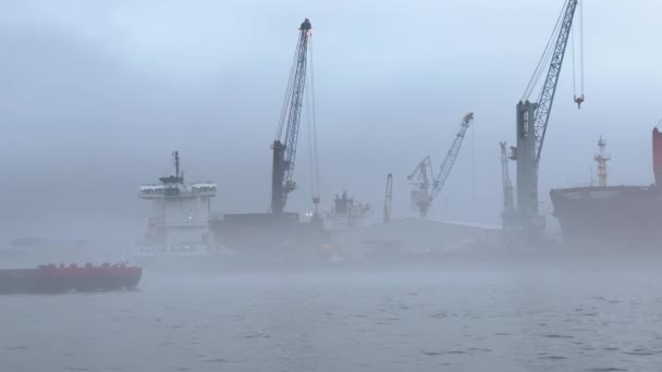 Port Hamburg Foggy Day Hamburg Germany December 2022 — Vídeo de stock