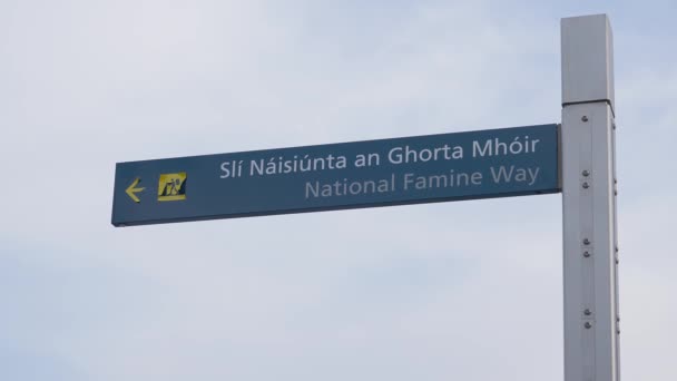 National Famine Memorial Dublin Docklands Ireland Travel Photography — Stockvideo
