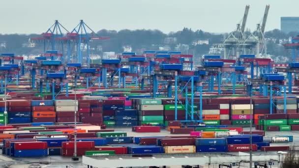 Haven Van Hamburg Tollerort Containervervoer Stad Hamburg Duitsland December 2022 — Stockvideo